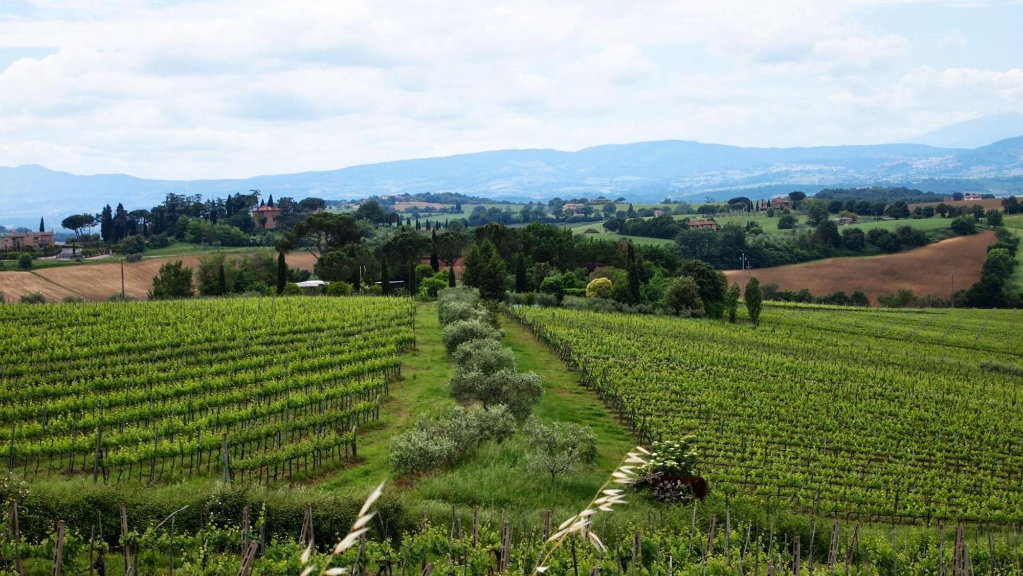 Agriturismo La Terra Valiano Ngoại thất bức ảnh