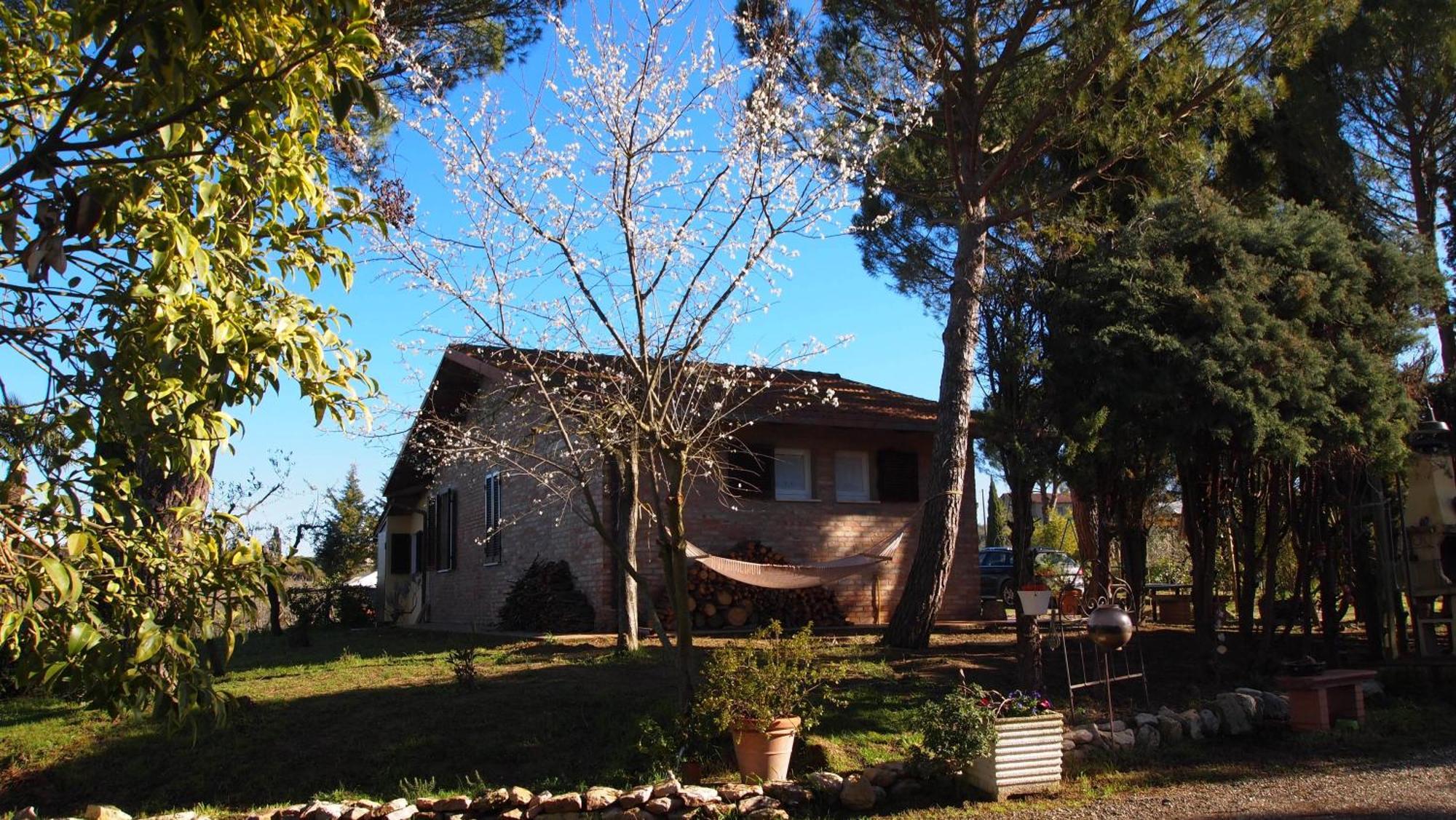 Agriturismo La Terra Valiano Ngoại thất bức ảnh