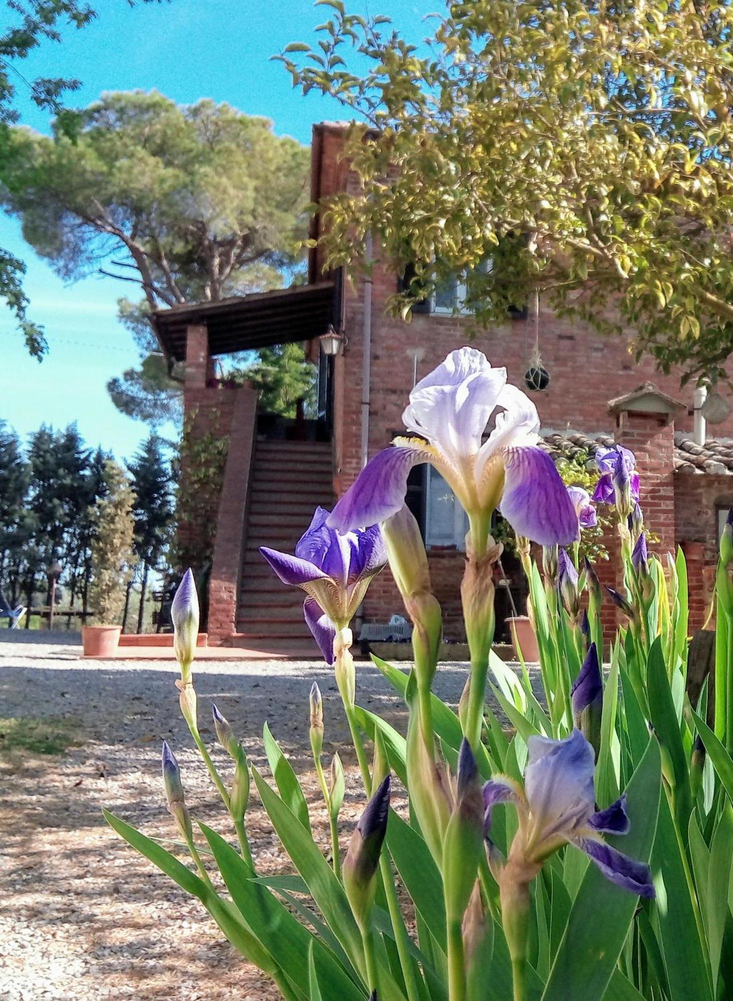 Agriturismo La Terra Valiano Ngoại thất bức ảnh